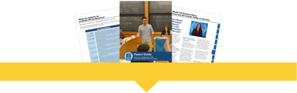 Parent Campaign with Page Divider